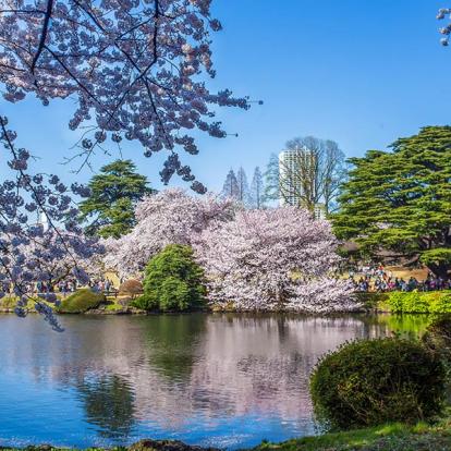 Tokyo - Tokyo Shinjuku Gyoen A Découvrir au Japon - Tokyo