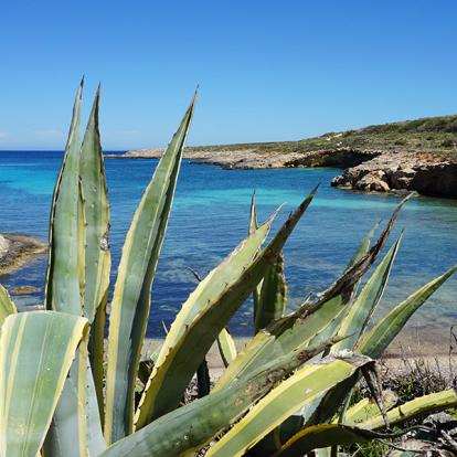 A Découvir à Malte - L'ile de Comino