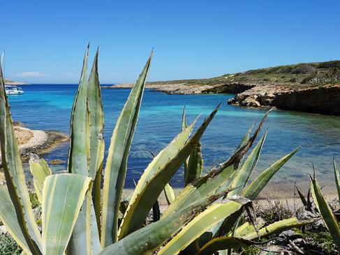 A Découvir à Malte - L'ile de Comino