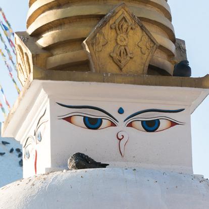 A Découvrir au Népal - Bodnath