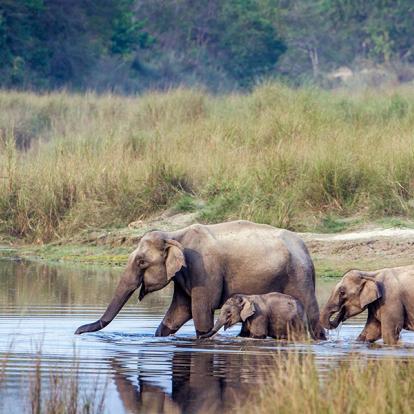 Parc National Royal De Bardia A Découvrir au Népal - Le Parc National Royal de Bardia