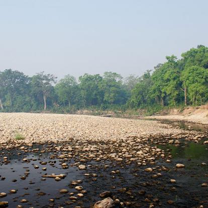 Parc National Royal De Bardia A Découvrir au Népal - Le Parc National Royal de Bardia