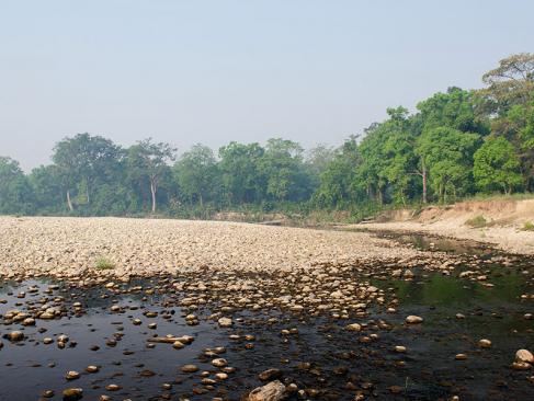 Parc National Royal De Bardia A Découvrir au Népal - Le Parc National Royal de Bardia