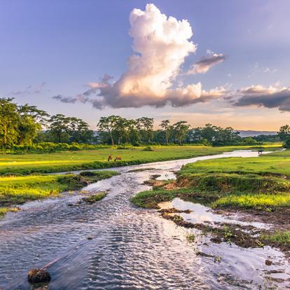 A Découvrir au Népal - Le Parc National de Chitwan