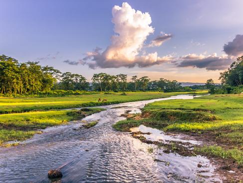 A Découvrir au Népal - Le Parc National de Chitwan