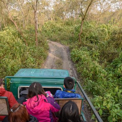 A Découvrir au Népal - Le Parc National de Chitwan