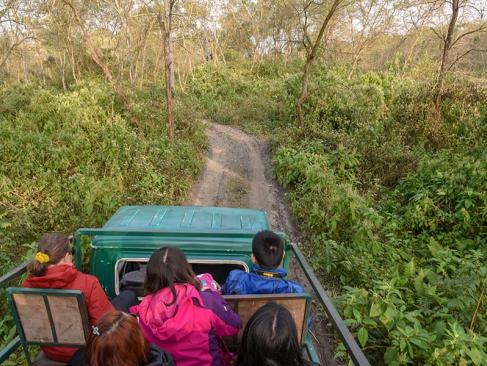 A Découvrir au Népal - Le Parc National de Chitwan