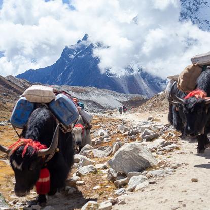 A Découvrir au Népal - Le Parc National de Sagarmatha