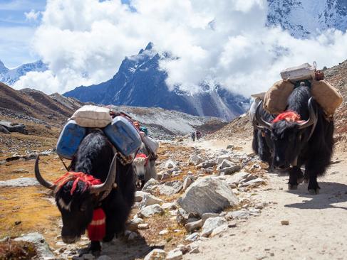 A Découvrir au Népal - Le Parc National de Sagarmatha