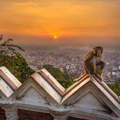Katmandou A Découvrir au Népal - Swayambhunath