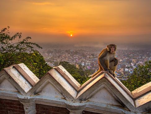 Katmandou A Découvrir au Népal - Swayambhunath