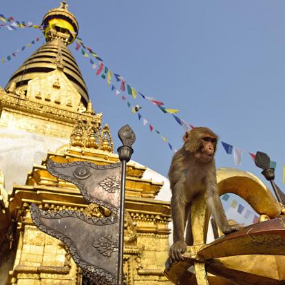 Katmandou - Stupa De Swayambhunath A Découvrir au Népal - Swayambhunath