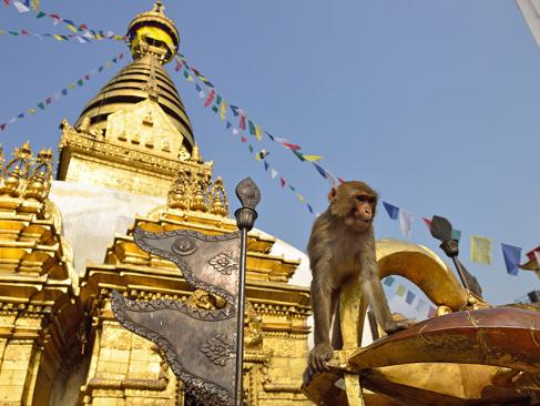 Katmandou - Stupa De Swayambhunath A Découvrir au Népal - Swayambhunath