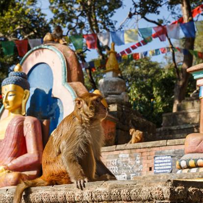 Katmandou - Stupa De Swayambhunath A Découvrir au Népal - Swayambhunath