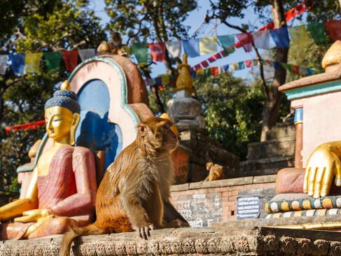 Katmandou - Stupa De Swayambhunath A Découvrir au Népal - Swayambhunath