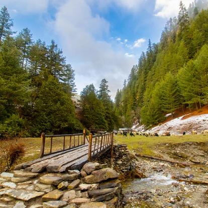 Le Parc National De Rara A Découvrir au Népal - Le Parc National de Rara