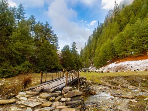 Le Parc National De Rara A Découvrir au Népal - Le Parc National de Rara