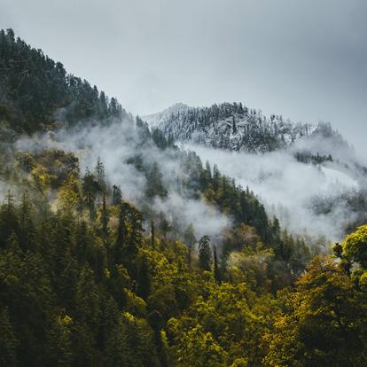 Le Parc National De Rara A Découvrir au Népal - Le Parc National de Rara