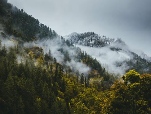 Le Parc National De Rara A Découvrir au Népal - Le Parc National de Rara