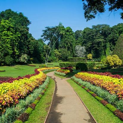 Jardin Botanique De Peradeniya A Découvrir au Sri Lanka - Le Jardin botanique de Peradeniya