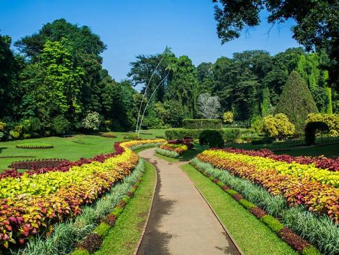 Jardin Botanique De Peradeniya A Découvrir au Sri Lanka - Le Jardin botanique de Peradeniya