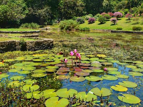 Jardin Botanique De Peradeniya A Découvrir au Sri Lanka - Le Jardin botanique de Peradeniya