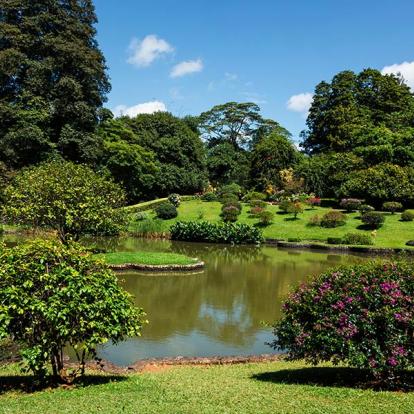 Jardin Botanique De Peradeniya A Découvrir au Sri Lanka - Le Jardin botanique de Peradeniya