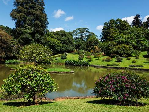 Jardin Botanique De Peradeniya A Découvrir au Sri Lanka - Le Jardin botanique de Peradeniya