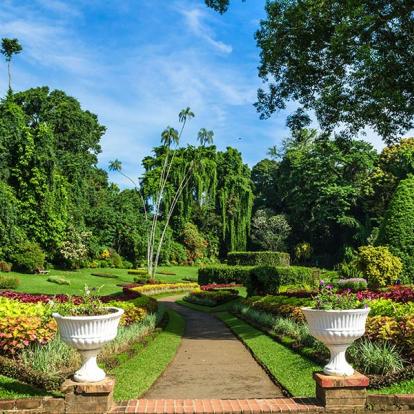 A Découvrir au Sri Lanka - Le Jardin botanique de Peradeniya