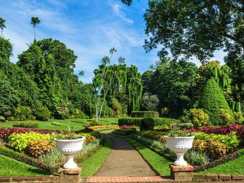 Jardin Botanique De Peradeniya A Découvrir au Sri Lanka - Le Jardin botanique de Peradeniya