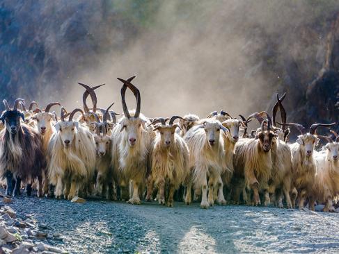 Tusheti National Park A Découvrir en Géorgie - La Touchétie