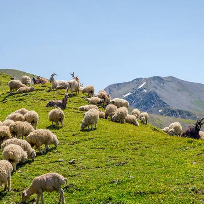 A Découvrir en Géorgie - La Touchétie