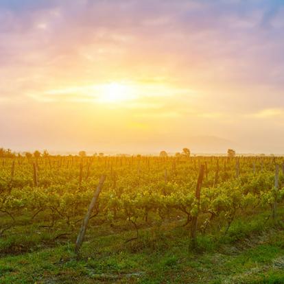 A Découvrir en Géorgie - Telavi et  la région de Kakheti