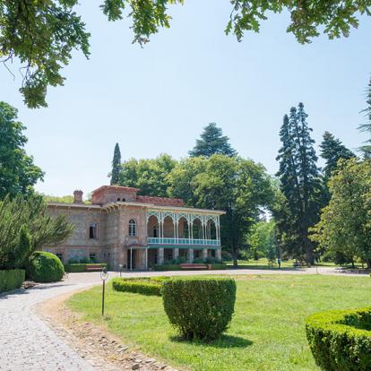 A Découvrir en Géorgie - Telavi et  la région de Kakheti