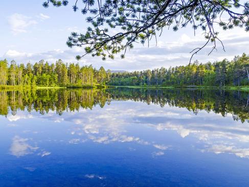 A Découvrir en Finlande - La culture sami et Lemmenjoki