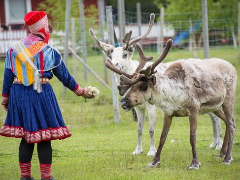 A Découvrir en Finlande - La culture sami et Lemmenjoki