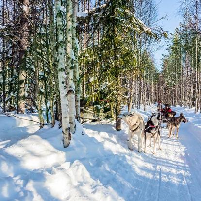 A Découvrir en Finalande - La Laponie finlandaise