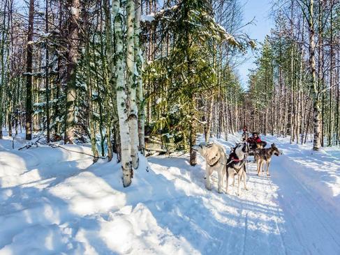 A Découvrir en Finalande - La Laponie finlandaise
