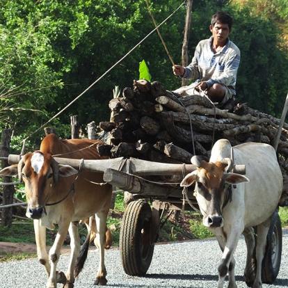 A Découvrir au Cambodge - Ondong Rossey