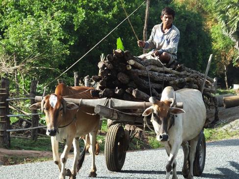 A Découvrir au Cambodge - Ondong Rossey