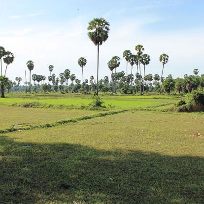 A Découvrir au Cambodge - Ondong Rossey