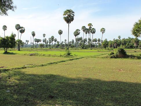 A Découvrir au Cambodge - Ondong Rossey