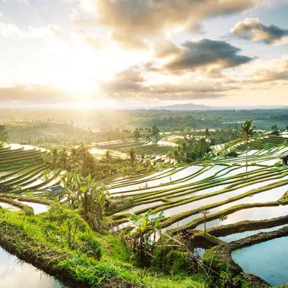 Bali - Les Rizières De Jatiluwih Voyage en Indonésie - Les Rizières de Jatiluwih