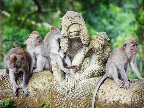 Bali - Ubud Sacred Monkey Forest A Découvrir en Indonésie - Ubud
