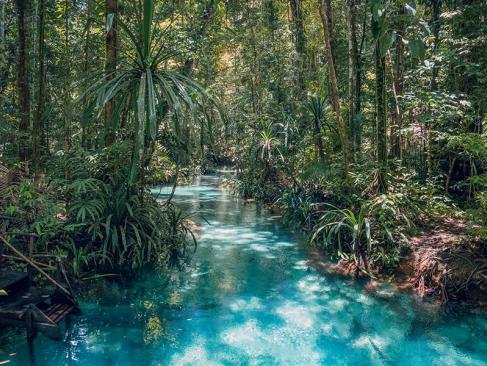 A Découvrir en Indonésie - Les Îles Raja Ampat