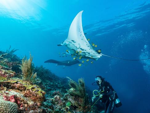 A Découvrir en Indonésie - Les Îles Raja Ampat