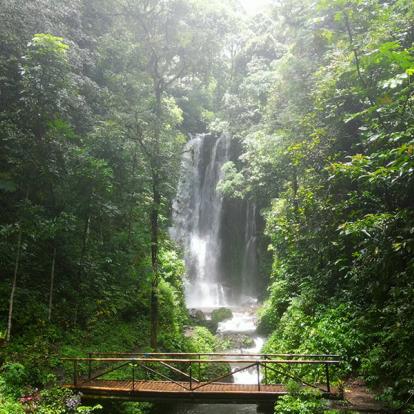 A Découvrir en Indonésie - Munduk
