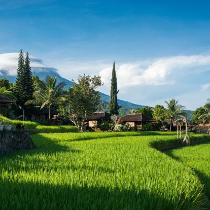 A Découvrir en Indonésie - Munduk