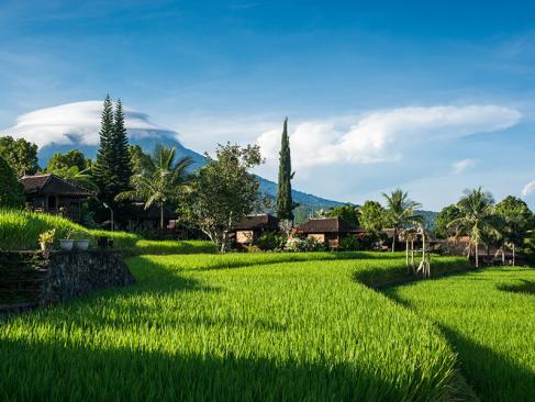 A Découvrir en Indonésie - Munduk