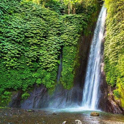 A Découvrir en Indonésie - Munduk